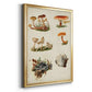 Mushroom Species X - Modern Framed Canvas Print