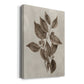 Arbor Specimen III Premium Gallery Wrapped Canvas - Ready to Hang