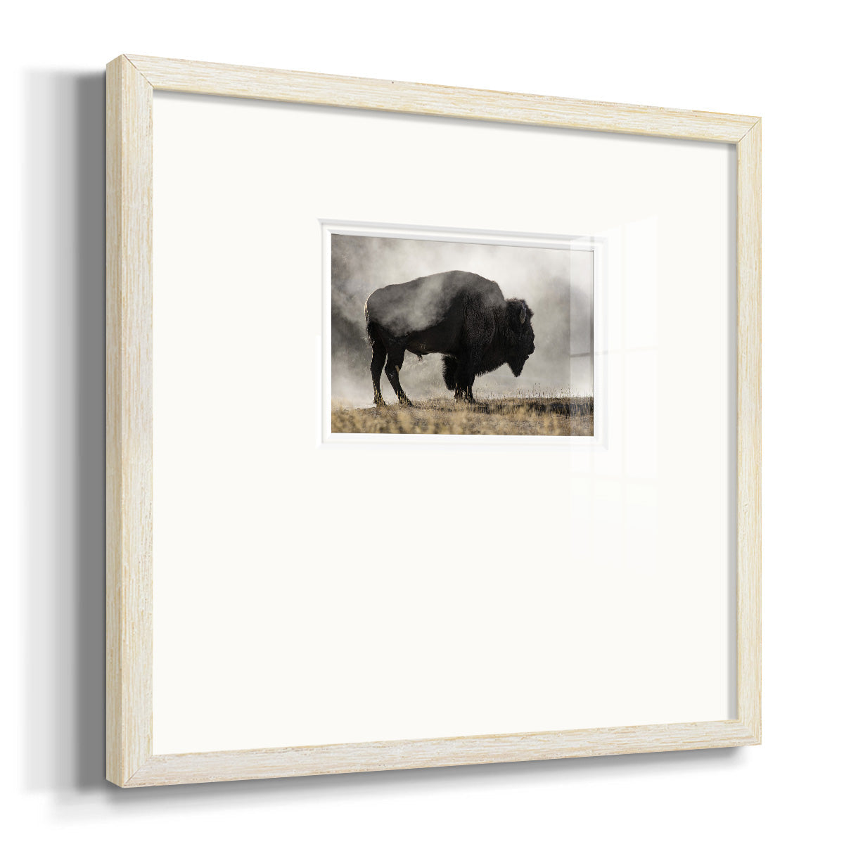 Geyser Basin Premium Framed Print Double Matboard