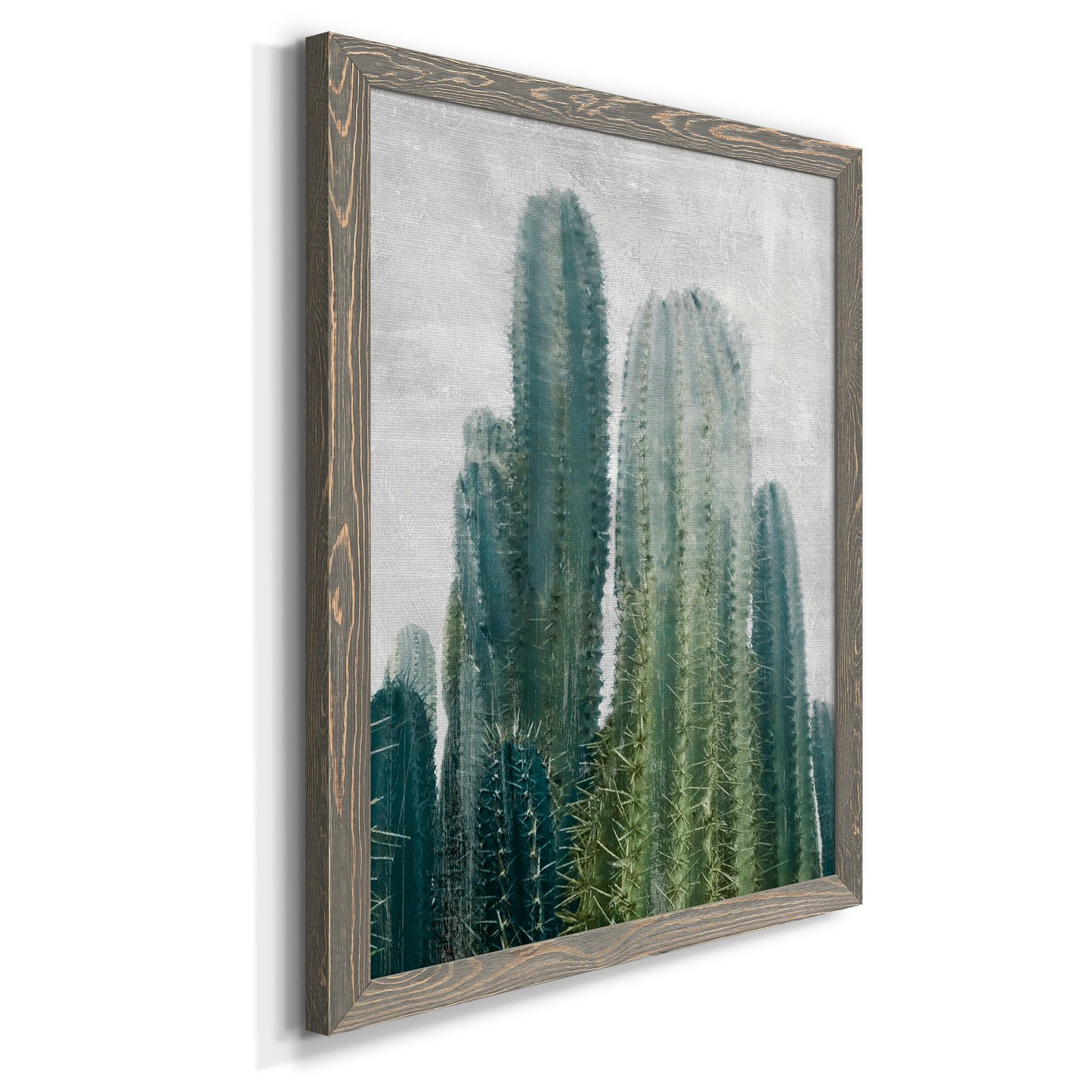 Aruba Cacti II - Barnwood Framed Canvas Print