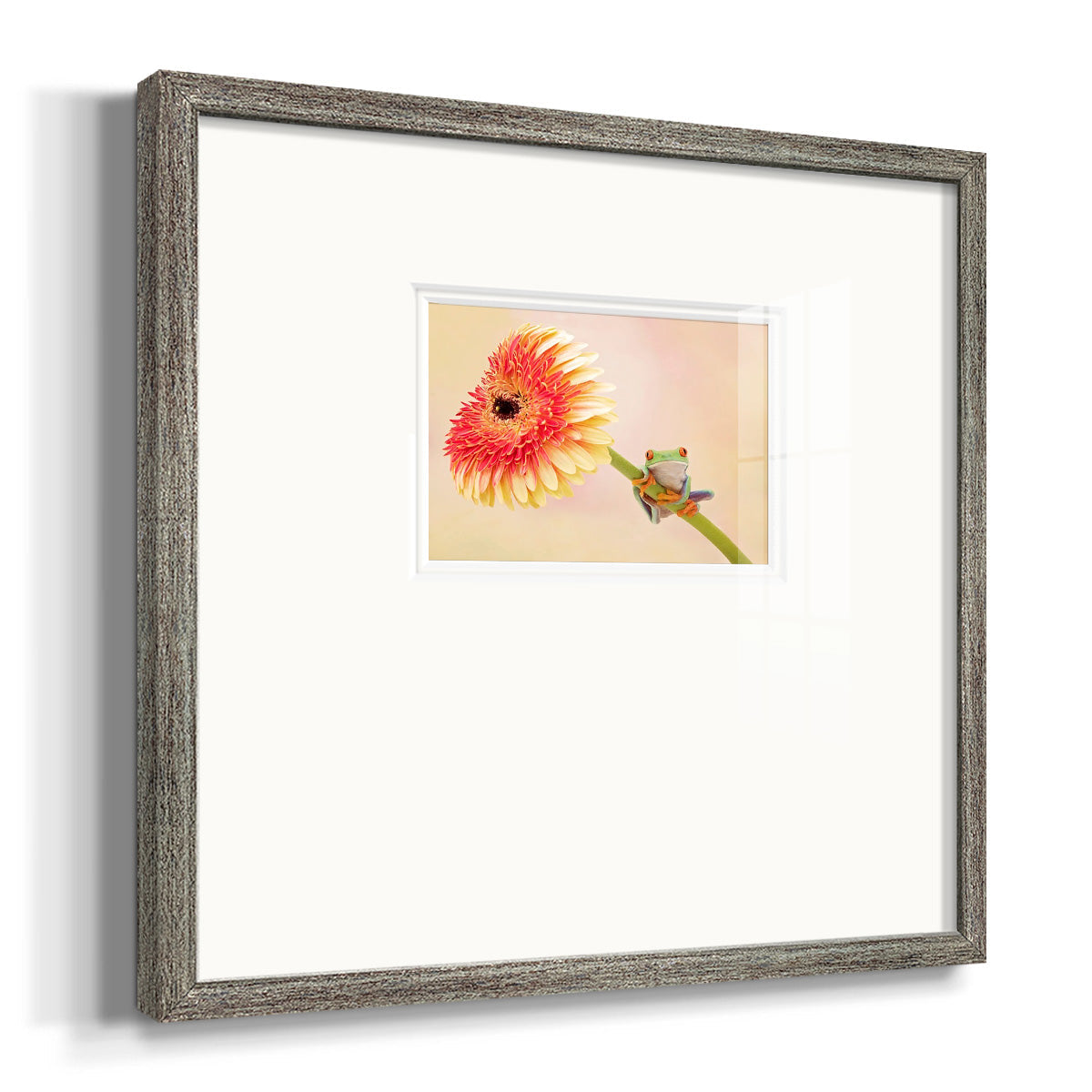 Hanging On IX Premium Framed Print Double Matboard