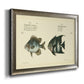 Bloch Antique Fish II Premium Framed Canvas- Ready to Hang