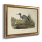 Audubons Blue Heron Premium Framed Canvas- Ready to Hang