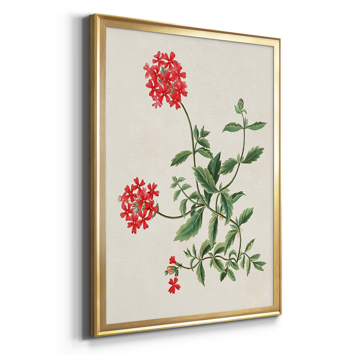 Flowers of the Seasons XI - Modern Framed Canvas Print