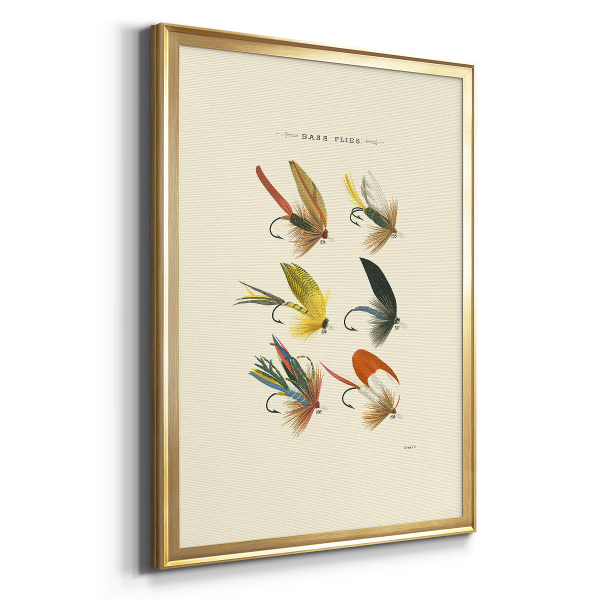 Bass Flies I - Modern Framed Canvas Print