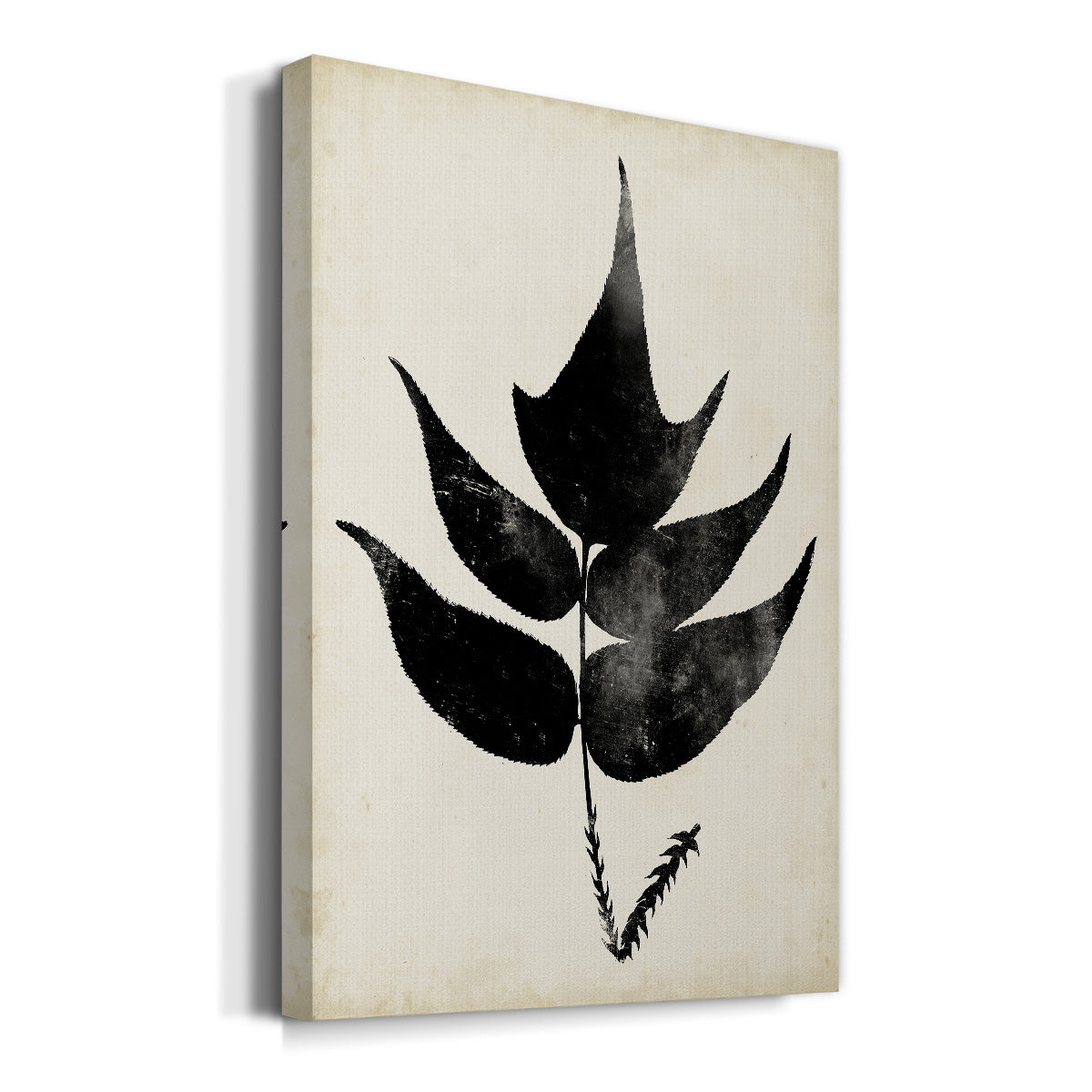 Fern Silhouette IV Premium Gallery Wrapped Canvas - Ready to Hang