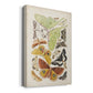 Antique Moths I Premium Gallery Wrapped Canvas - Ready to Hang