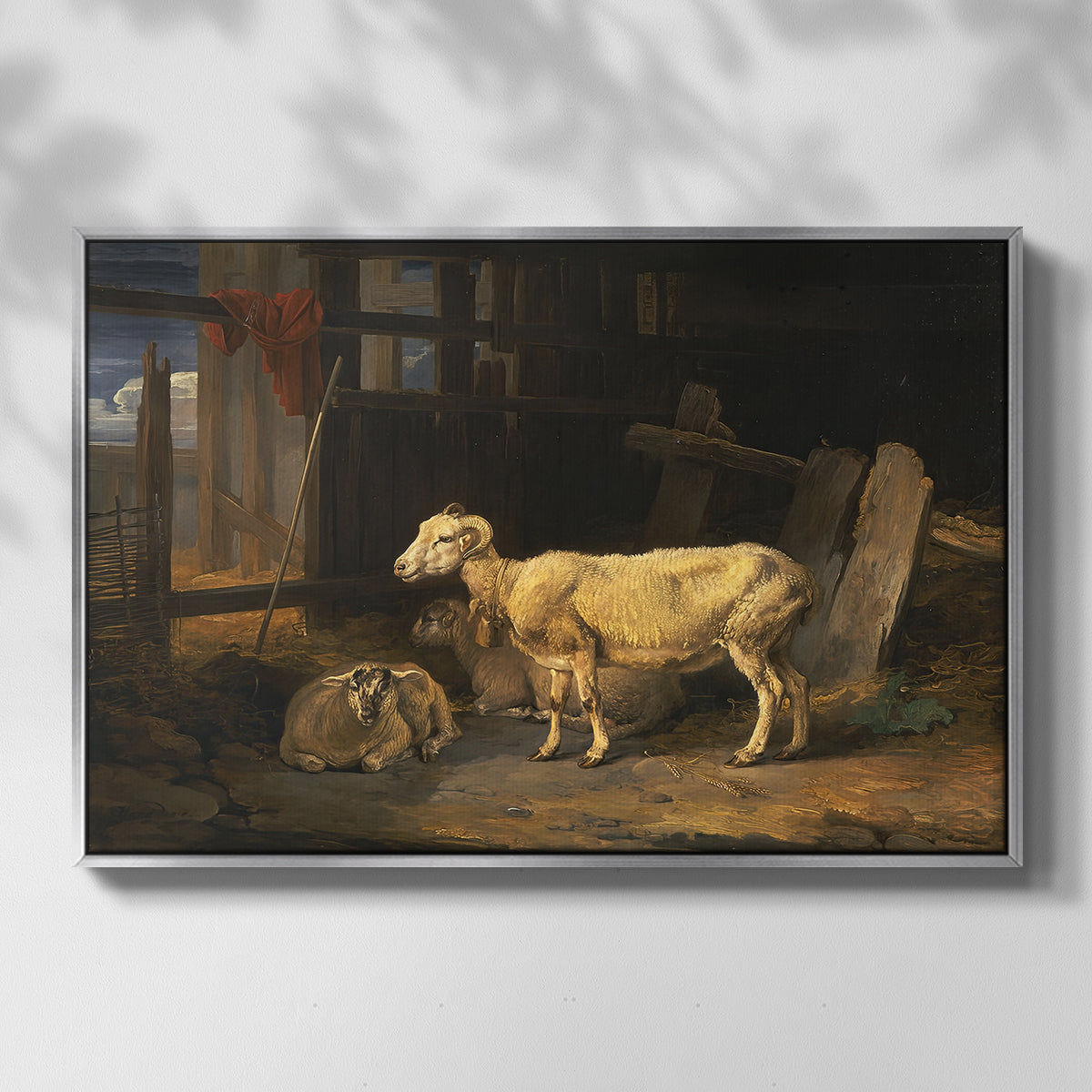 Sheep in a Stable, 1810 - Floater Framed Canvas Print