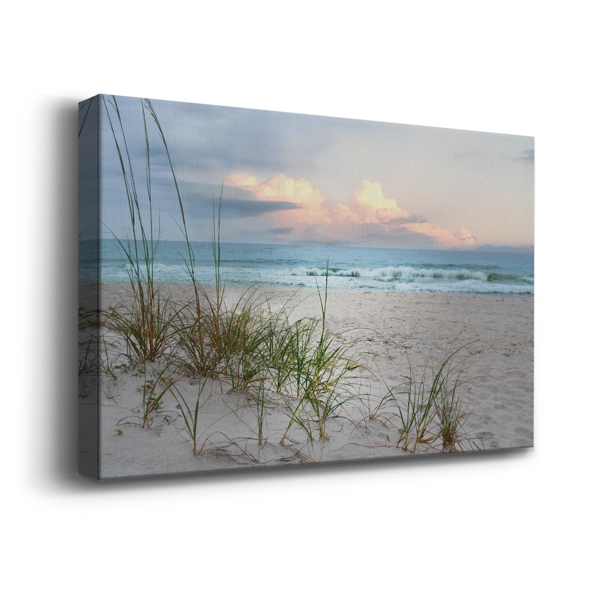 Beach Driftwood - Canvas Art Print