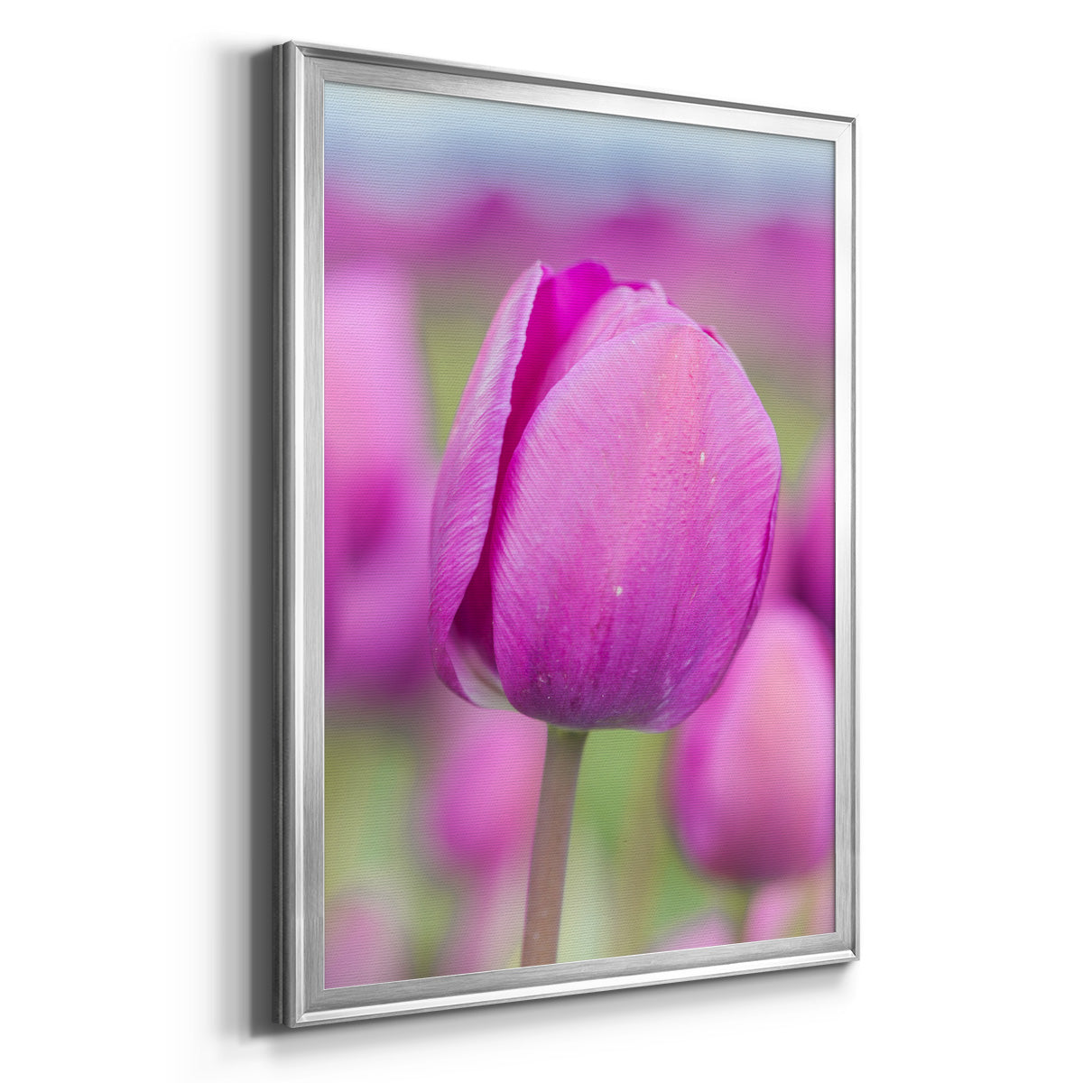 Magenta Stem - Modern Framed Canvas Print