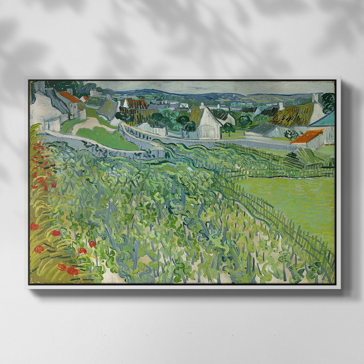 Vineyards at Auvers, 1890 - Floater Framed Canvas Print
