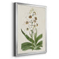 Flore Albo I - Modern Framed Canvas Print