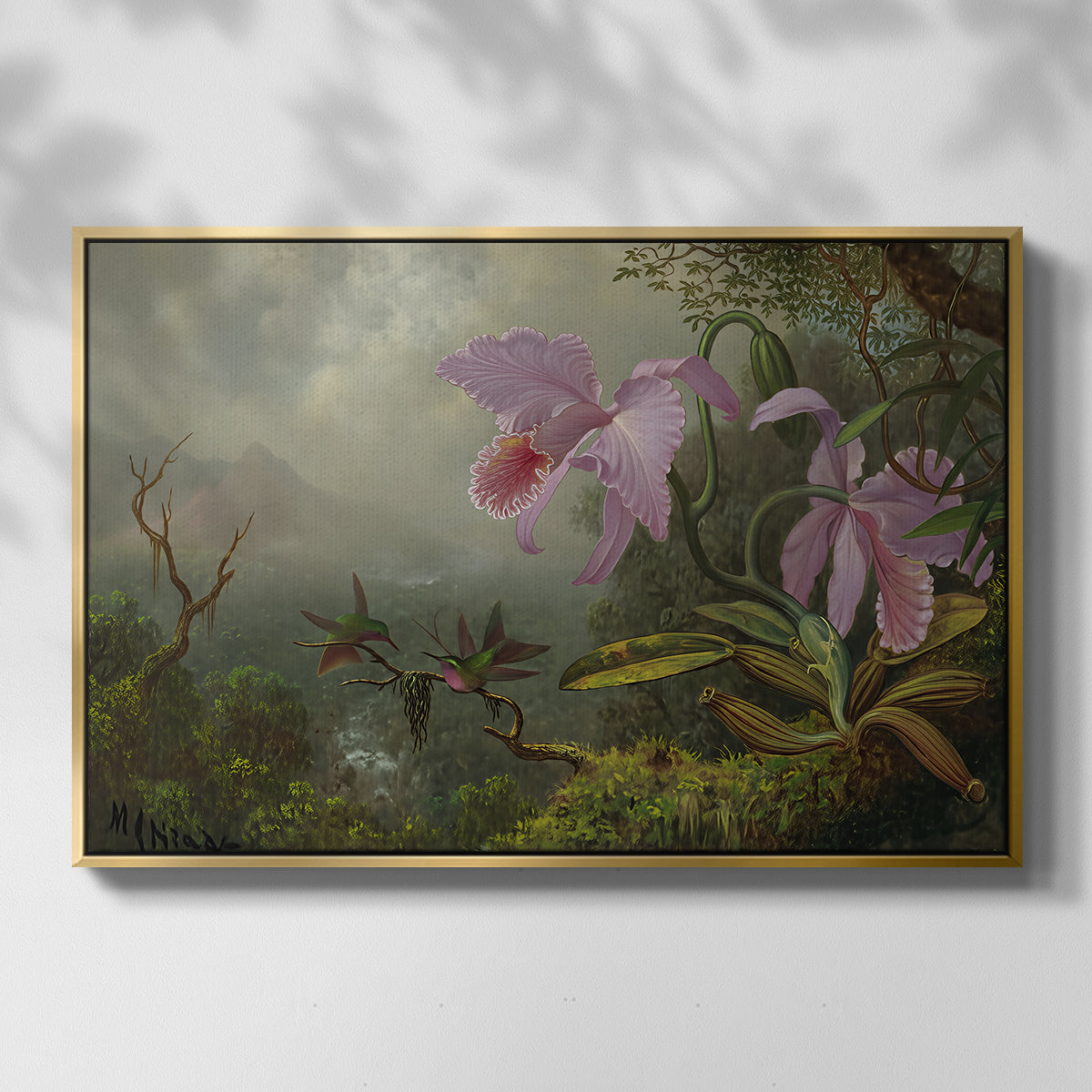 Two Sun Angel Hummingbirds on a Branch, c. 1890-1904 - Floater Framed Canvas Print