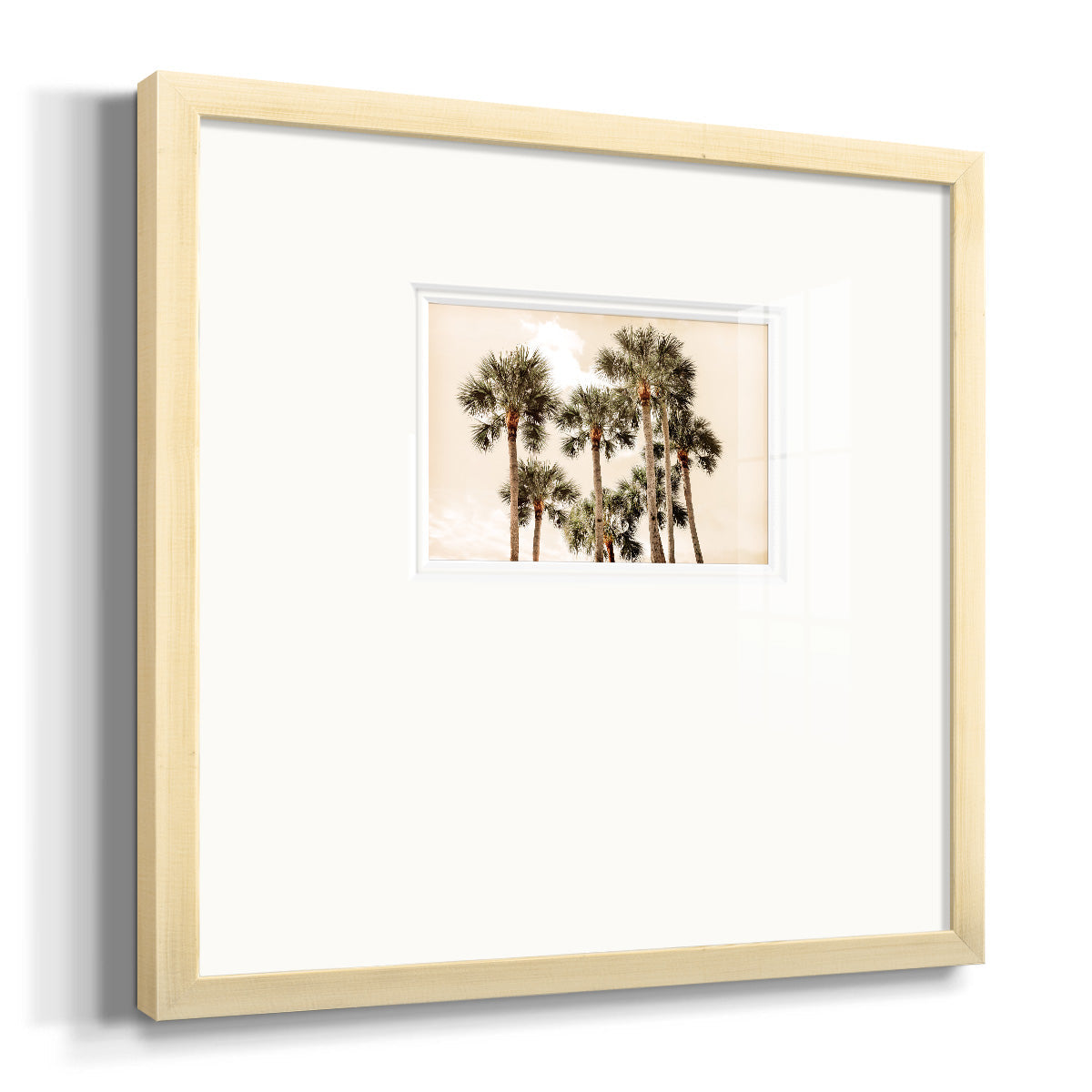 Blushing Palms Premium Framed Print Double Matboard