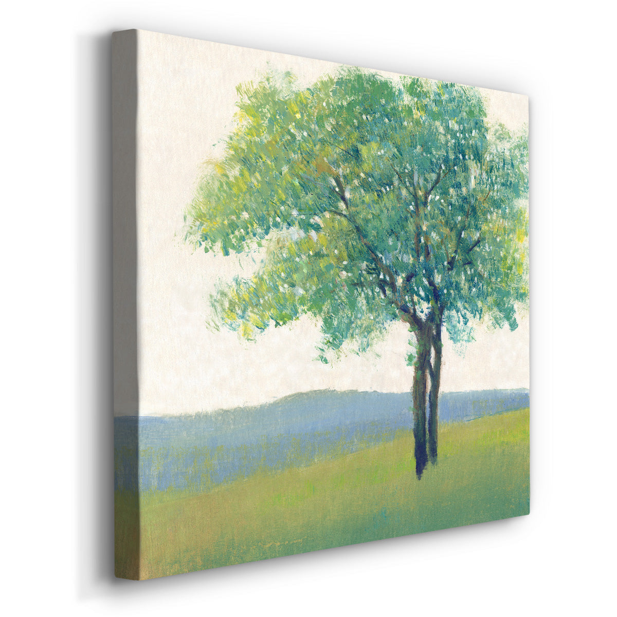 Solitary Tree II - Canvas Art Print