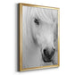 Island Pony I - Modern Framed Canvas Print