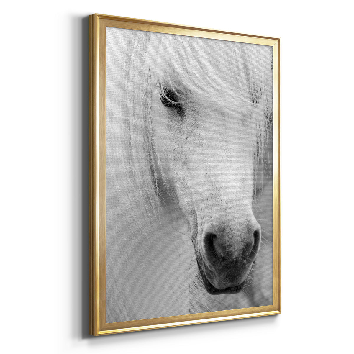 Island Pony I - Modern Framed Canvas Print