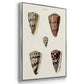 Cone Shell Collection I - Framed Premium Gallery Wrapped Canvas L Frame 3 Piece Set - Ready to Hang