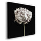 Blush Peony Portrait I -Premium Gallery Wrapped Canvas - Ready to Hang