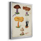 Mushroom Species VII - Modern Framed Canvas Print