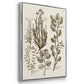 Sepia Botanical Journal VI - Framed Premium Gallery Wrapped Canvas L Frame 3 Piece Set - Ready to Hang