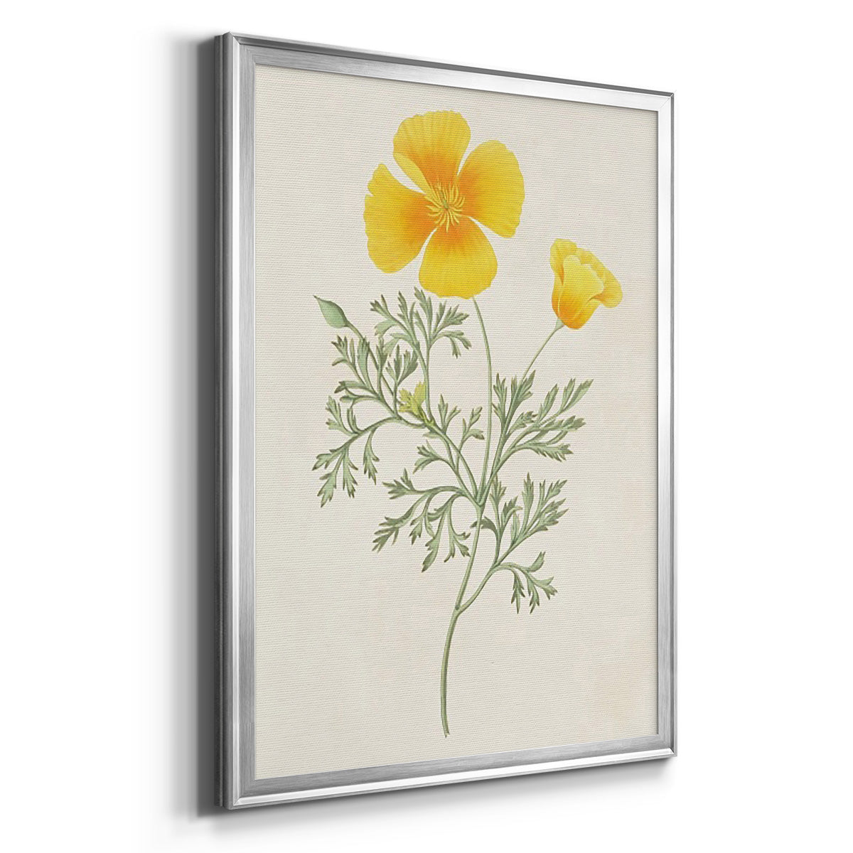 Flowers of the Seasons IX - Modern Framed Canvas Print