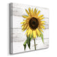 Sunflower on Wood - Canvas Art Print