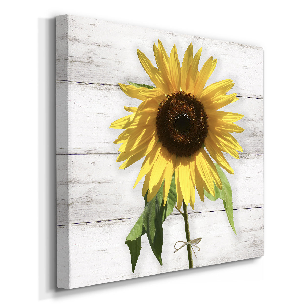 Sunflower on Wood - Canvas Art Print