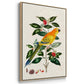 Bird in Habitat III - Framed Premium Gallery Wrapped Canvas L Frame 3 Piece Set - Ready to Hang