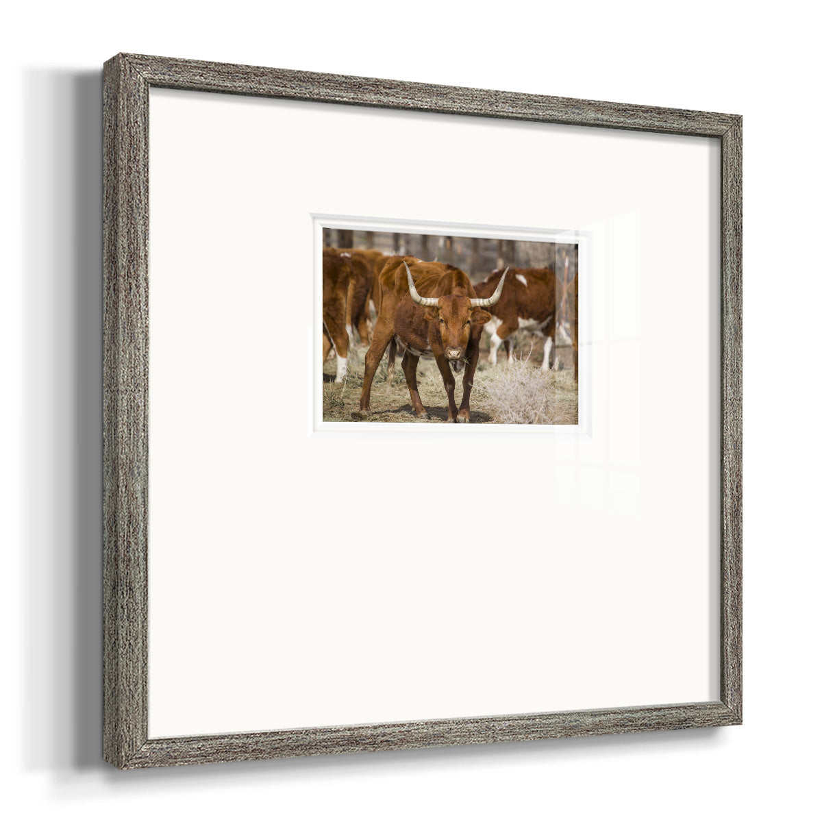 Longhorns - Double Matboard Framed Print