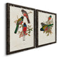 Elegant Trogons IX - Premium Framed Canvas 2 Piece Set - Ready to Hang