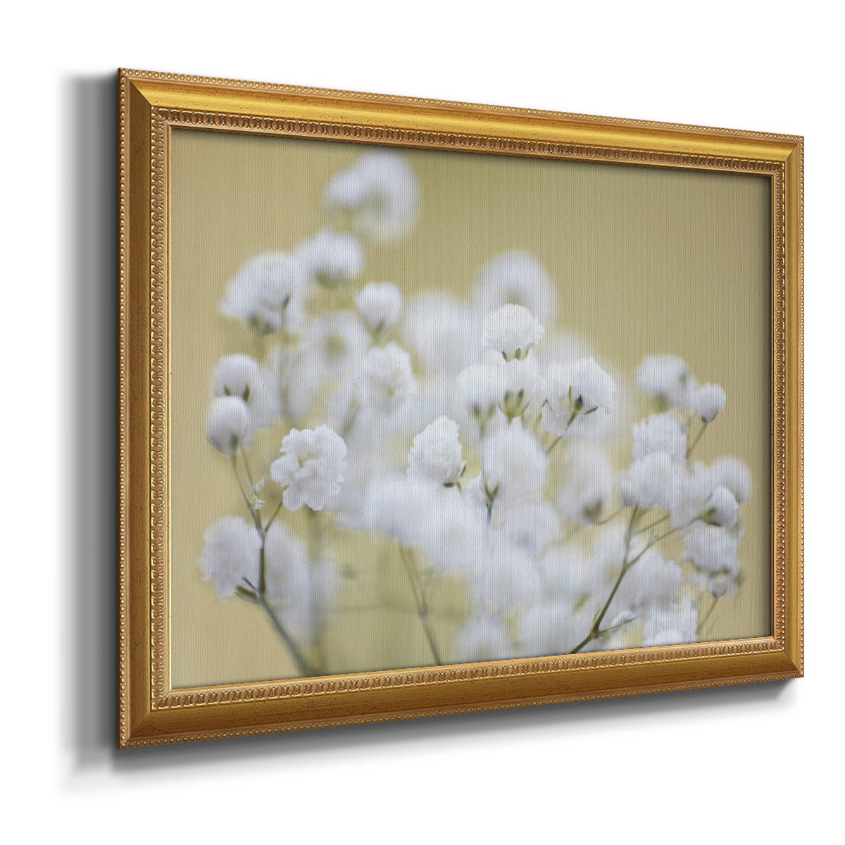 Baby's Breath Study III Premium Framed Canvas- Ready to Hang