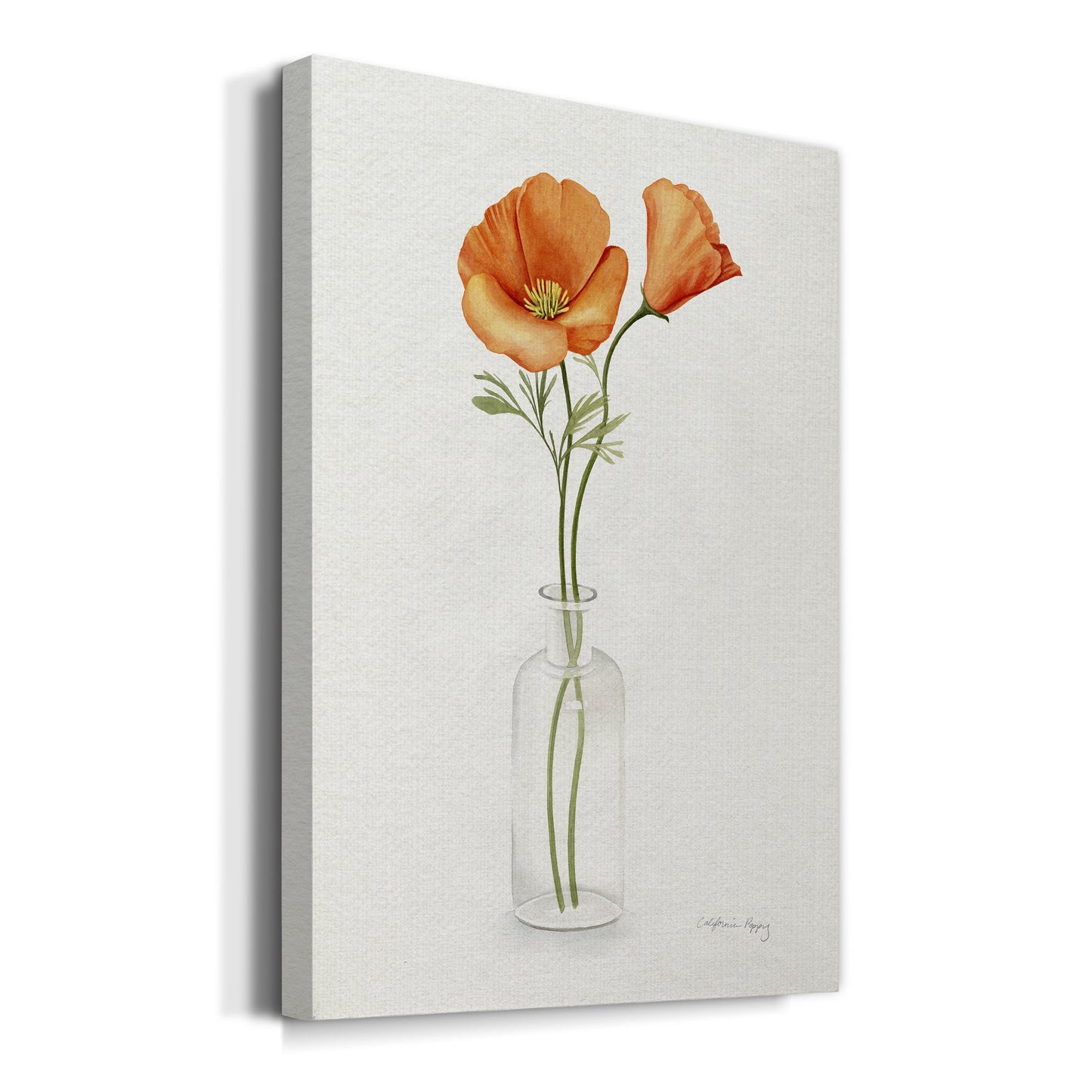 California Poppy Vase II Premium Gallery Wrapped Canvas - Ready to Hang