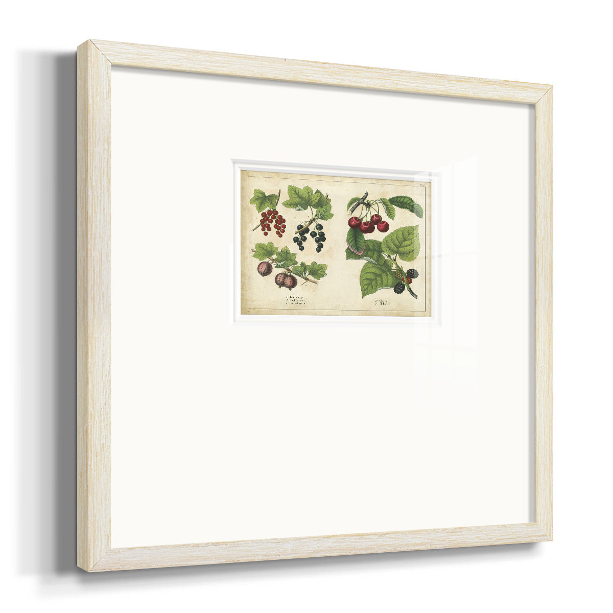 Kitchen Fruits III Premium Framed Print Double Matboard