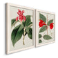 Flora of the Tropics I - Premium Framed Canvas 2 Piece Set - Ready to Hang