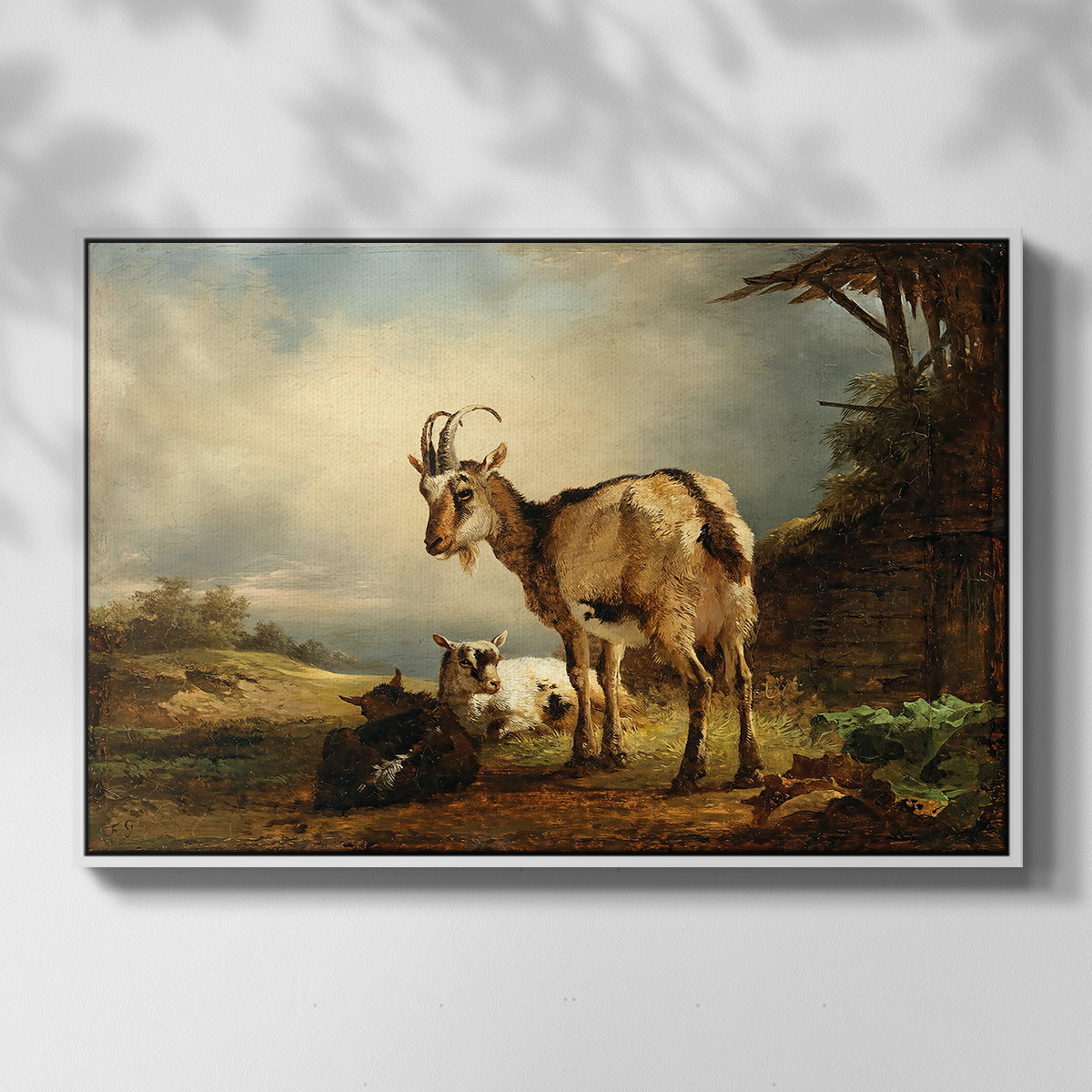 A Goat with Two Kids - Floater Framed Canvas Print