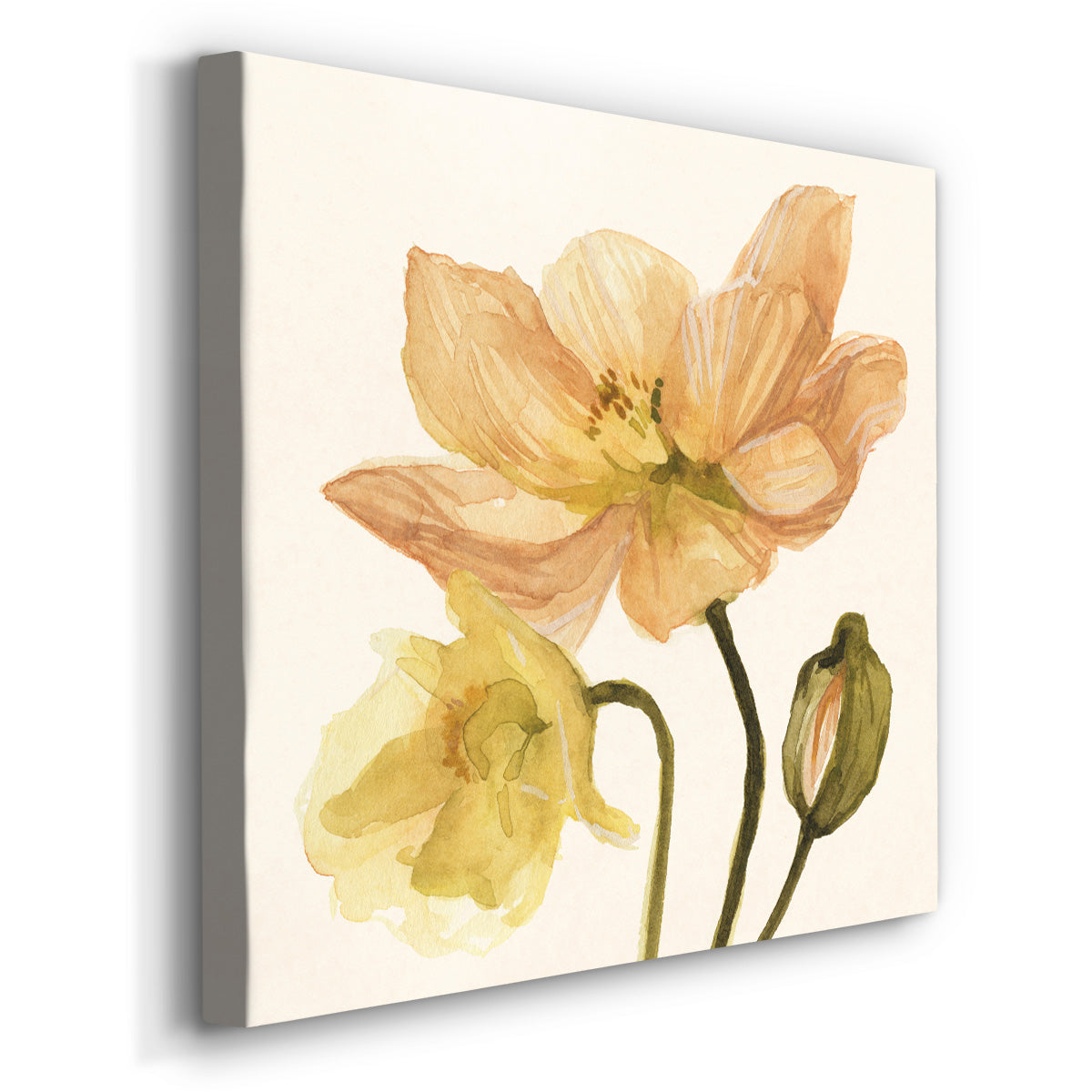 Highpoint Poppies II - Canvas Art Print