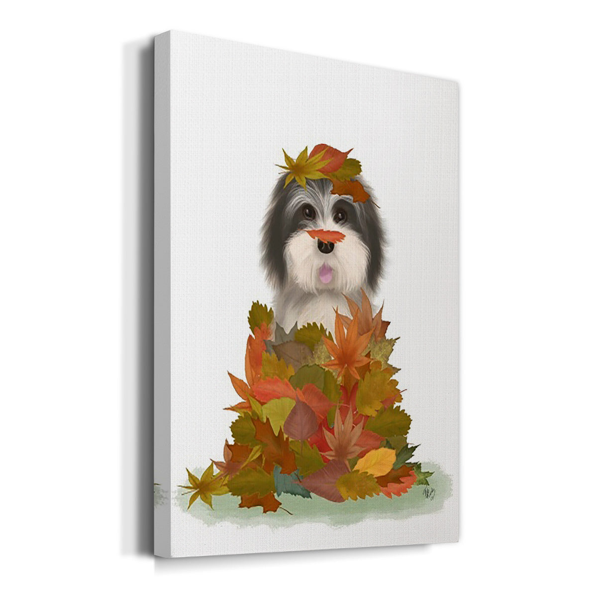 Landed in Autumn, Black and White Dog Premium Gallery Wrapped Canvas - Ready to Hang