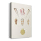 Pastel Knorr Shells I Premium Gallery Wrapped Canvas - Ready to Hang