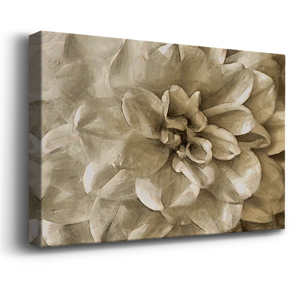 Neutral Wall Flower III - Canvas Art Print