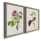 Pretty Pink Botanicals V - Barnwood Framed Canvas Set