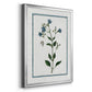 Shabby Chic Botanical II - Modern Framed Canvas Print