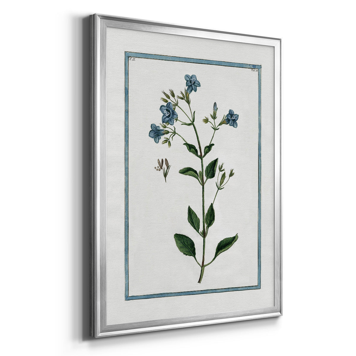 Shabby Chic Botanical II - Modern Framed Canvas Print