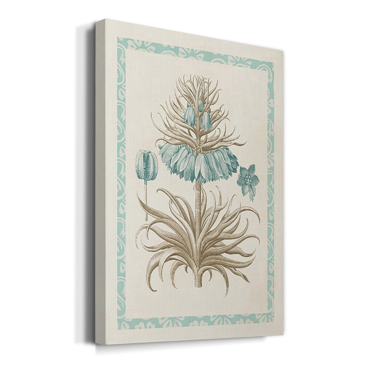 Willow Blue Besler II - Canvas Art Print