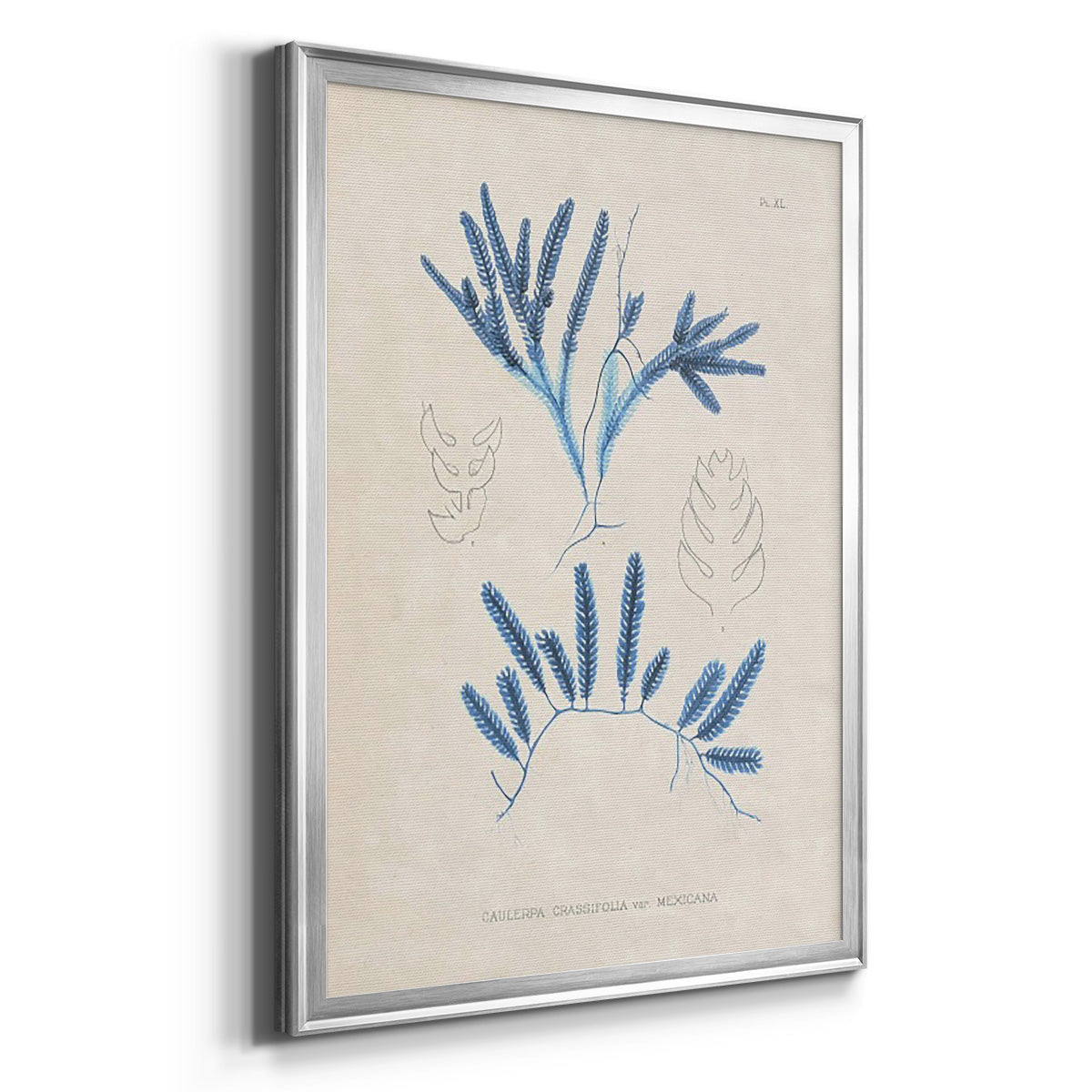 Blue Marine Algae I - Modern Framed Canvas Print