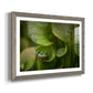 Arboreal Refuge - Barnwood Framed Art Print