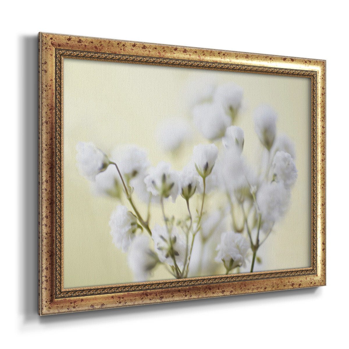 Baby's Breath Study IV Premium Framed Canvas- Ready to Hang