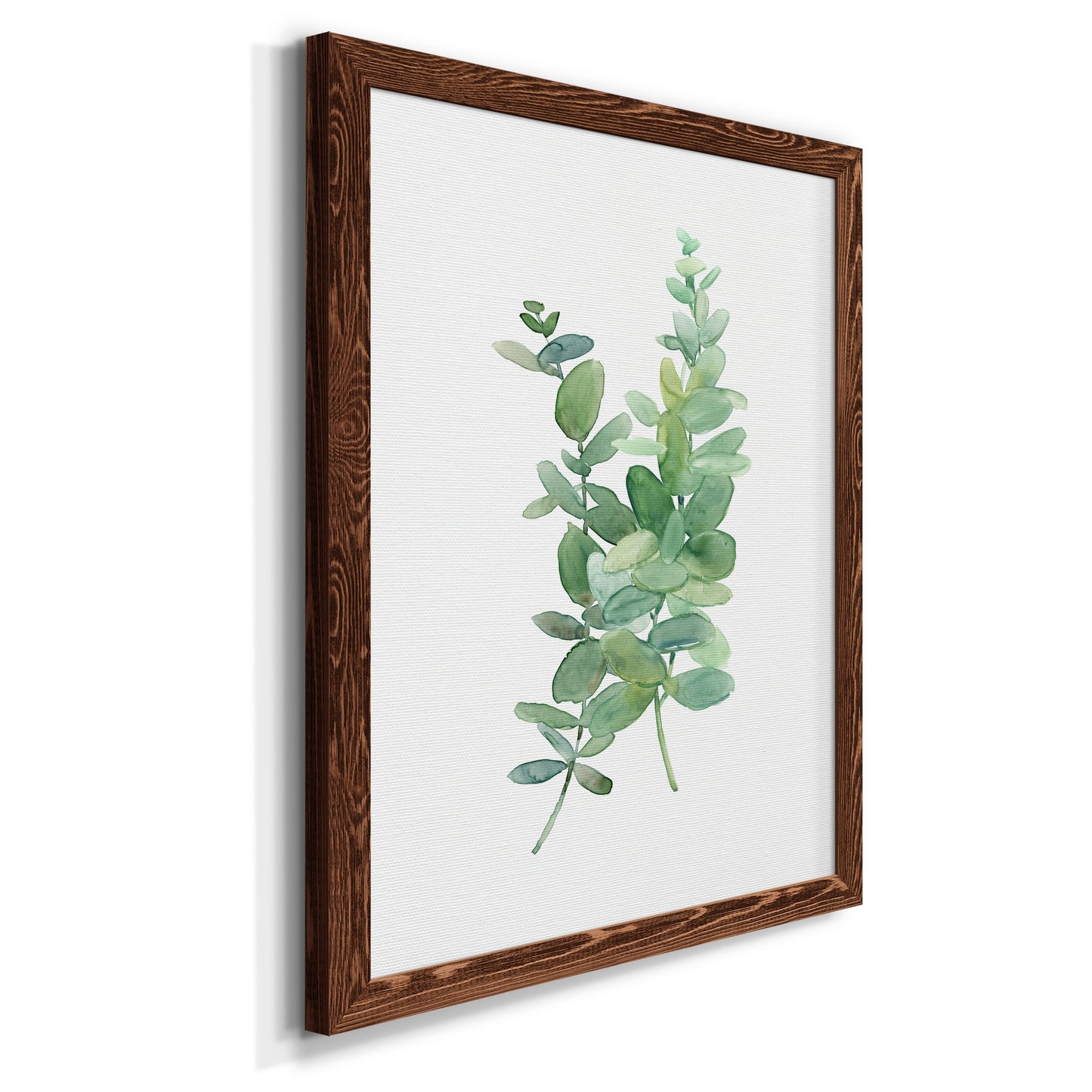 Eucalyptus I - Premium Canvas Framed in Barnwood - Ready to Hang