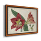 Amaryllis Splendor I Premium Framed Canvas- Ready to Hang