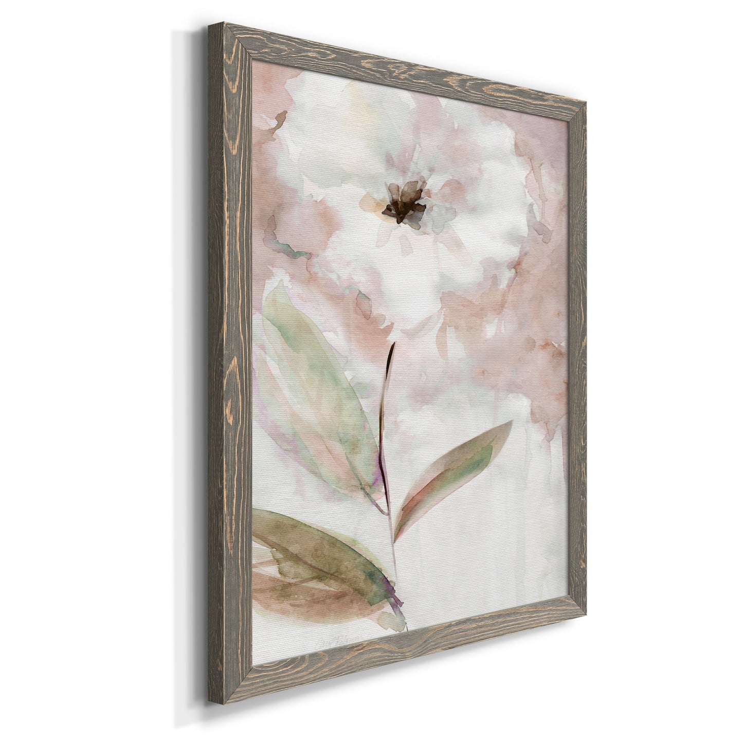 Summer Bloom I - Barnwood Framed Canvas Print